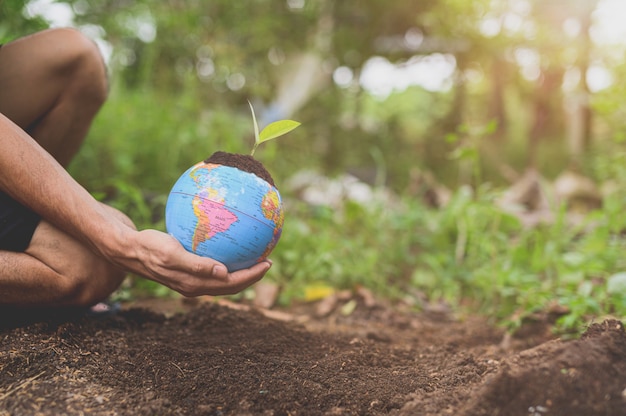 Dia Mundial do Meio Ambiente .Ame o mundo. Mão segurando um globo