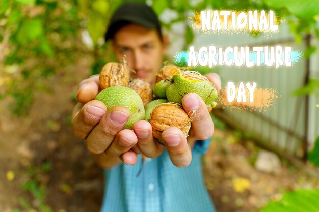 Dia Nacional da Agricultura destacando o crescimento de produtos frescos em meio a folhagem verde vibrante