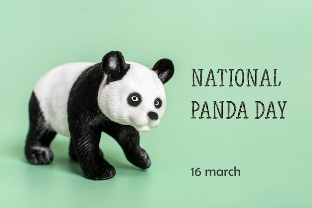 Dia Nacional do Panda 16 de março comemorar