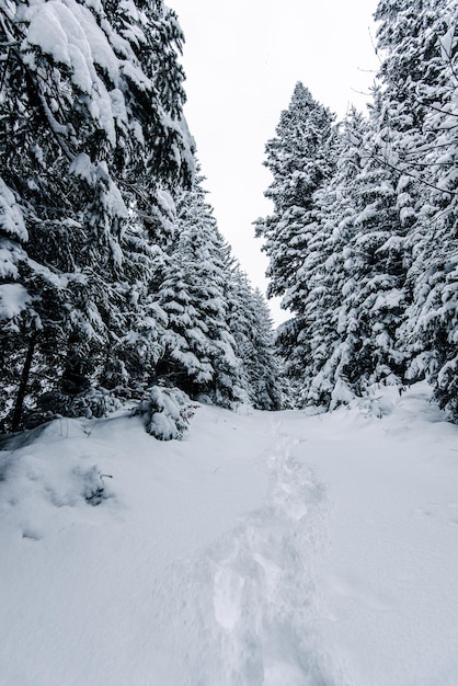 Un día de nieve en un pueblo de montaña junto al río.