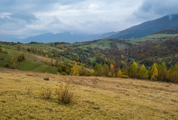 Día nublado y brumoso escena de las montañas de otoño Tranquilo y pintoresco viaje naturaleza estacional y paisaje concepto de belleza escena Montañas de los Cárpatos Ucrania