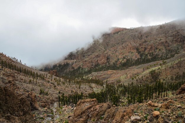 Día nublado en el Parque Nacional del Teide