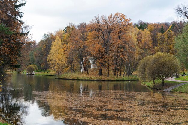 Día de otoño en el parque con reflejo de árboles en el agua