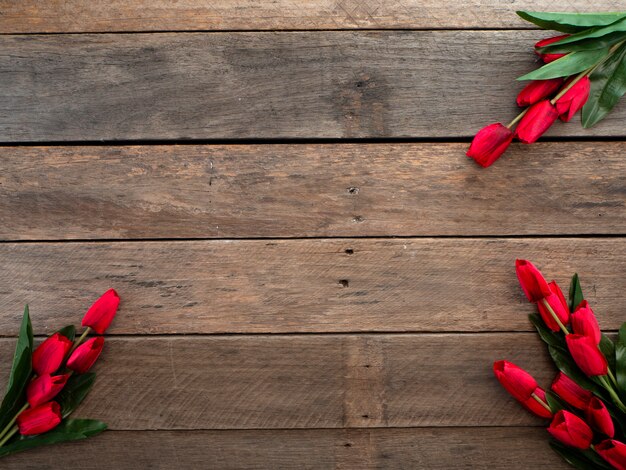 Día de Pascua o primavera de tulipanes rojos