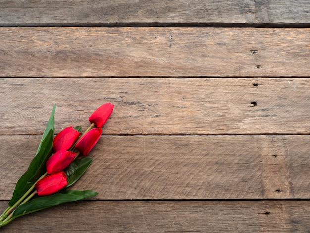 Día de Pascua o primavera de tulipanes rojos