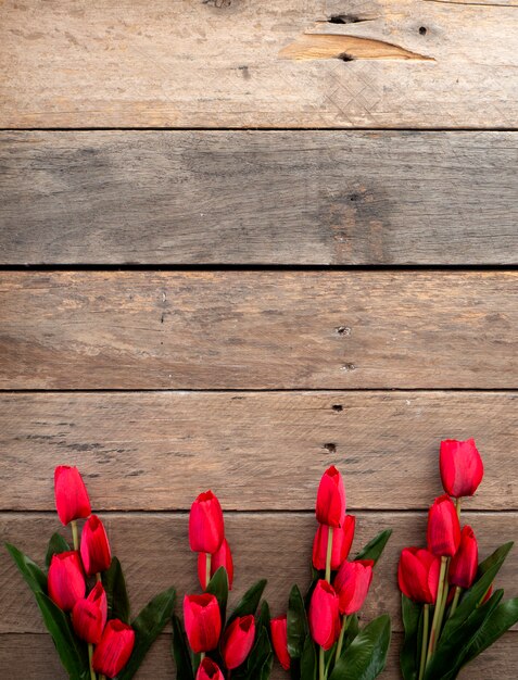 Día de Pascua o primavera de tulipanes rojos