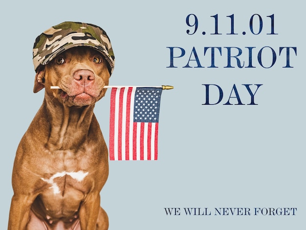 Día del patriota Cachorro adorable y bandera estadounidense
