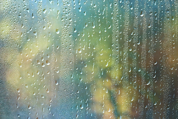 día de primavera en el parque / vista del paisaje primaveral en el parque a través de la ventana, gotas de lluvia sobre el cristal