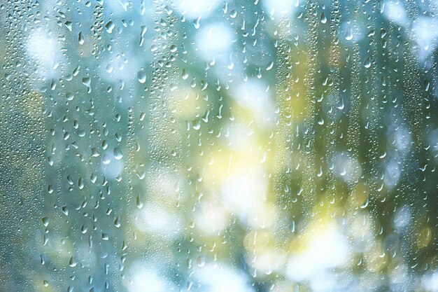 día de primavera en el parque / vista del paisaje primaveral en el parque a través de la ventana, gotas de lluvia sobre el cristal