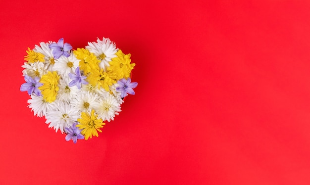 Día de San Valentín corazón hecho de hermosas flores aisladas sobre fondo rojo.