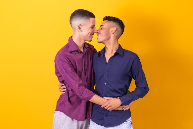 Día de san valentín lgbt Pareja gay pareja homosexual