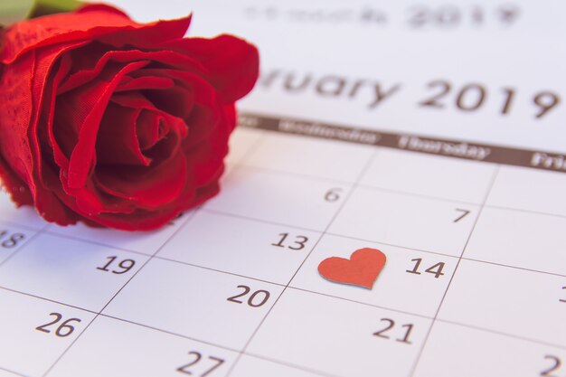 Día de San Valentín. Rosa roja y corazones rojos en la página de calendario 14 de febrero con copia espacio