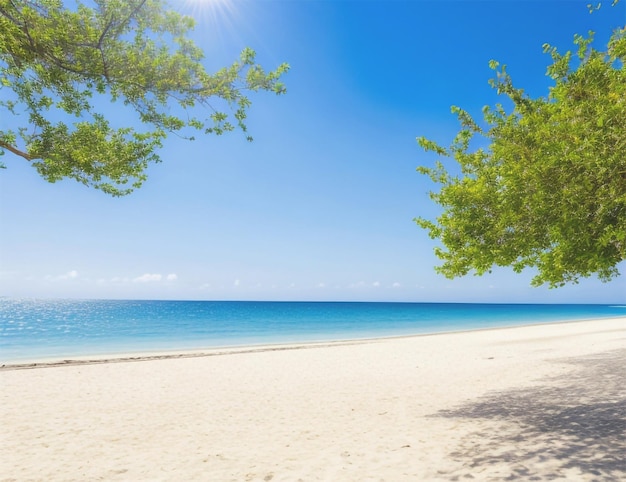 día soleado en la haya de mar sin gente