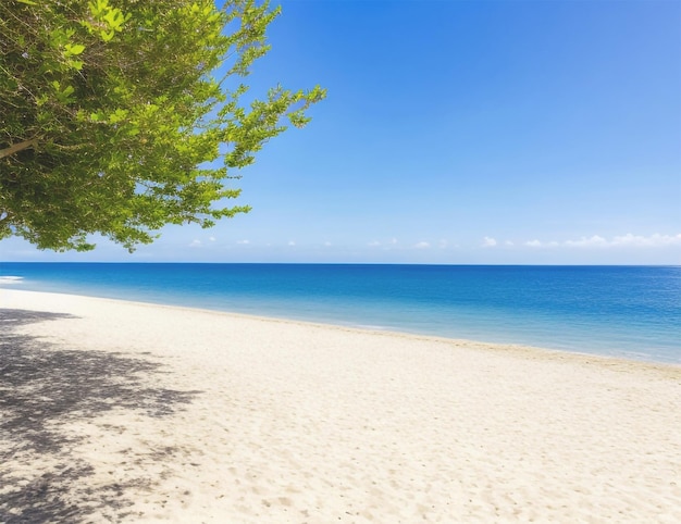 día soleado en la haya de mar sin gente