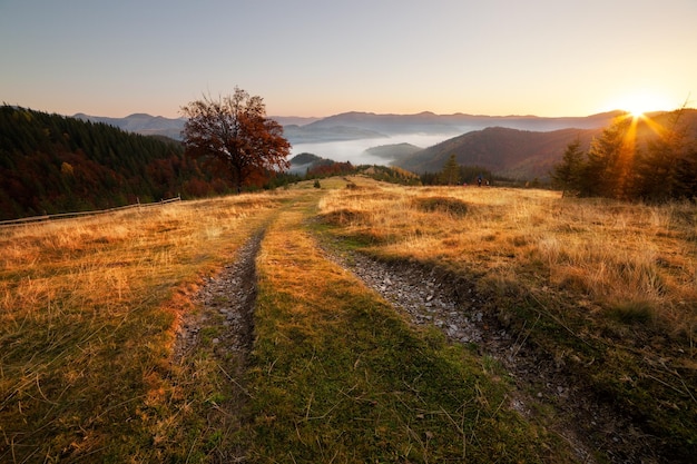 Foto día soleado de otoño en las colinas de la montaña