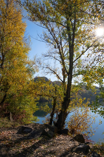 Día soleado de otoño en el lago en el parque