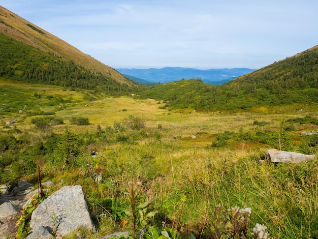 Día soleado de otoño en las montañas de los Cárpatos ucranianos Pintoresco paisaje de montañas vista panorámica de la cresta de la montaña Vista en el valle cerca del monte más alto de los Cárpatos ucranianos Hoverla Ucrania