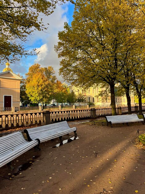 Un día soleado en el parque de otoño