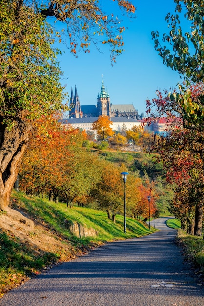 Día soleado en el parque de Praga colorida temporada de otoño República Checa ciudad europea