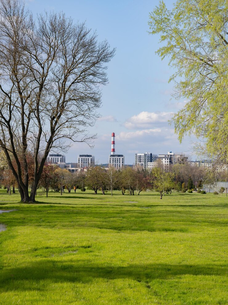 Un día soleado en un parque verde con un paisaje urbano en el fondo