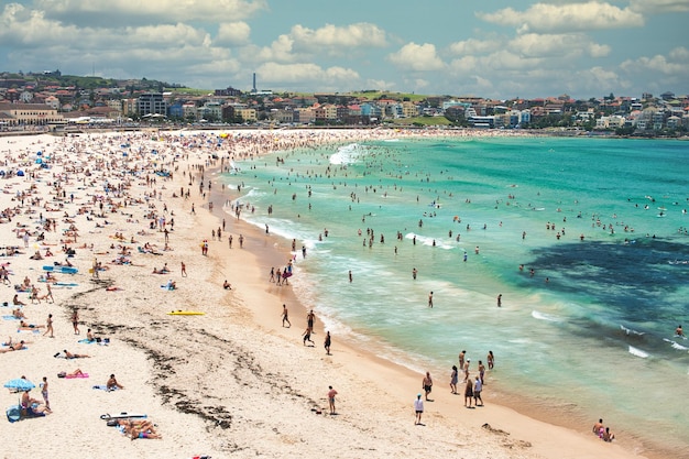 Día soleado en la playa de Bondi