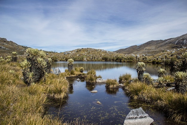 Foto un día soleado en sierra nevada del cocuy.