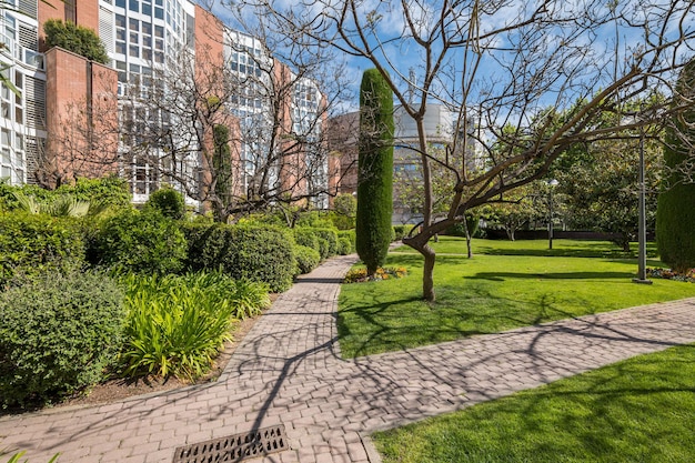 Día soleado en el verde patio europeo Moderno complejo residencial en Barcelona España