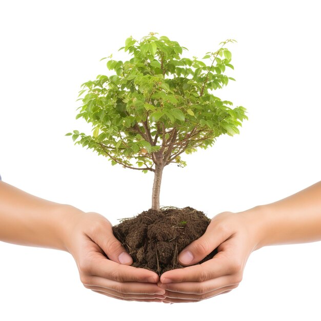 Foto día de la tierra en el árbol planta en la mano aislada sobre un fondo transparenteconcepto de conservación del bosqueconcepto de eco-día de la tierrasalvar el medio ambienteconcepto de ecología generar ai