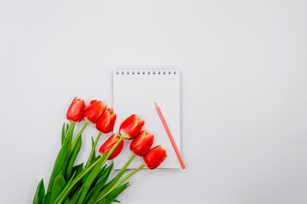 Día del trabajo, día de la mujer 8 de marzo, día del trabajador de oficina.