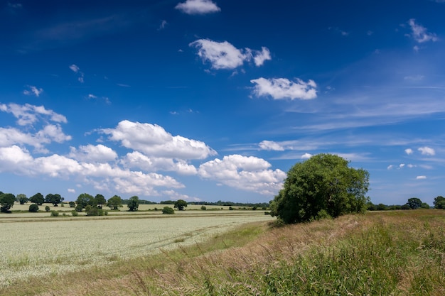 Un día de verano en la campiña de Sussex