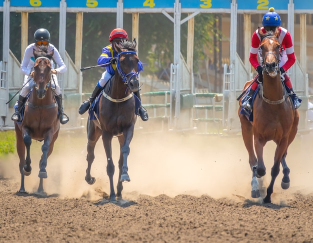 Día de verano en el hipódromo. Los tres jinetes comienzan a correr. Comienzo de la puerta y el polvo de debajo de los cascos