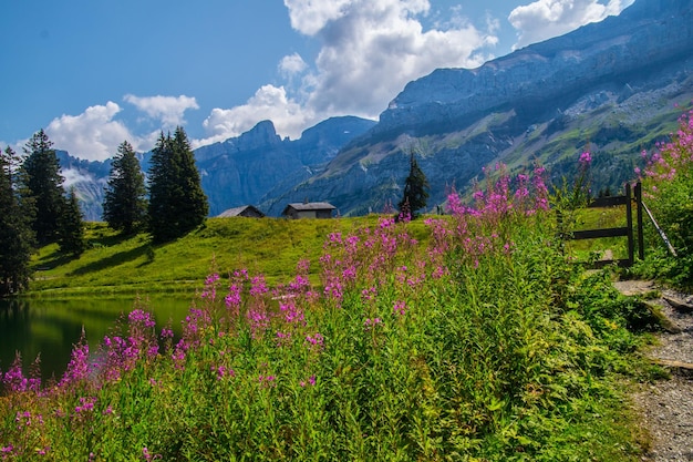 les diablerets en el lago de retaud en valais en suiza