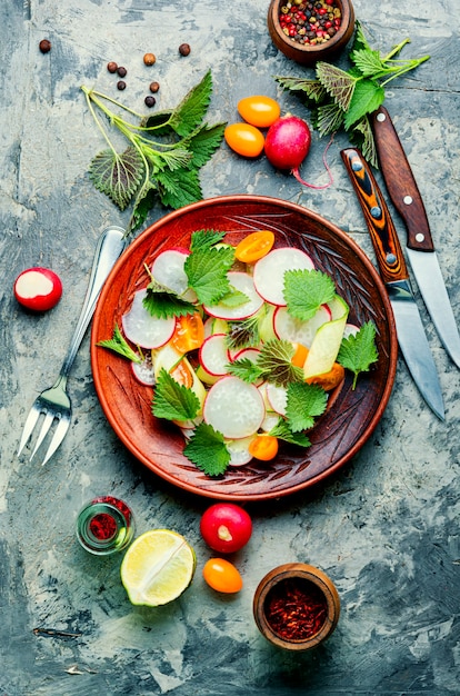 Diätsalat mit Gurken-, Rettich-, Tomaten- und Brennnesselblättern. Gesunde Ernährung. Frühlingssalat. Vegetarisches Essen.