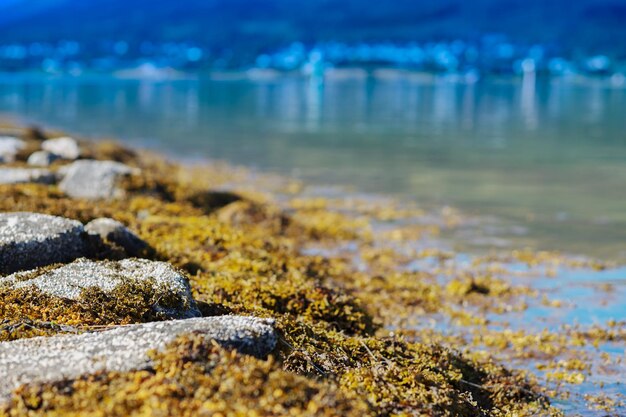 Diagonaler steiniger strand landschaft hintergrundhd