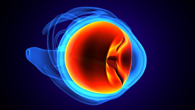 Foto un diagrama de un ojo humano con un fondo rojo y azul