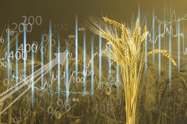 Diagramm steigender Lebensmittelpreise. Erhöhung des Preises für Weizenkorn. Börsenkurse