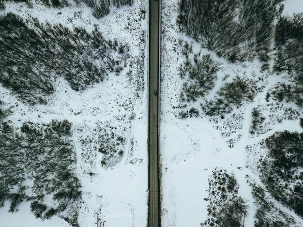 Días de nieve