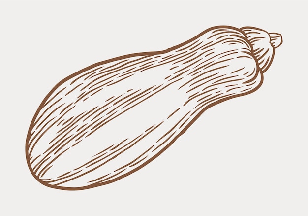 dibujado a mano con dibujos de verduras