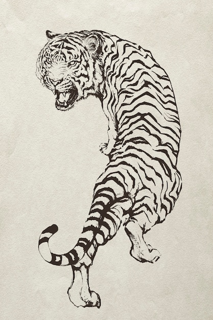 Dibujado a mano ilustración de tigre rugiente