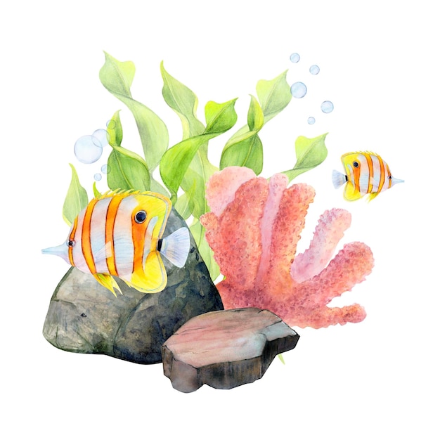 Dibujo de acuarela de piedras de fondo de algas de cinta burbujas de aire de coral y peces mariposa sobre fondo blanco Imagen submarina para ilustración pegatinas logotipo impresión textil