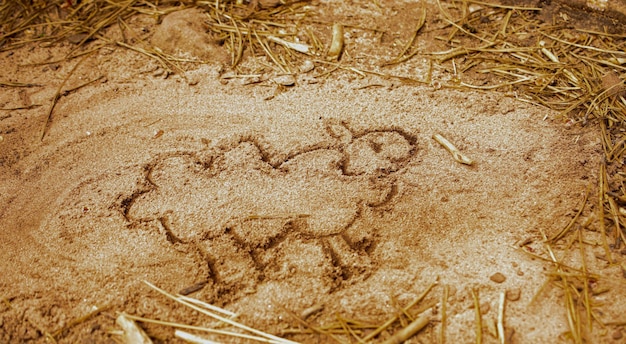 Foto dibujo en la arena de una oveja hecho a mano