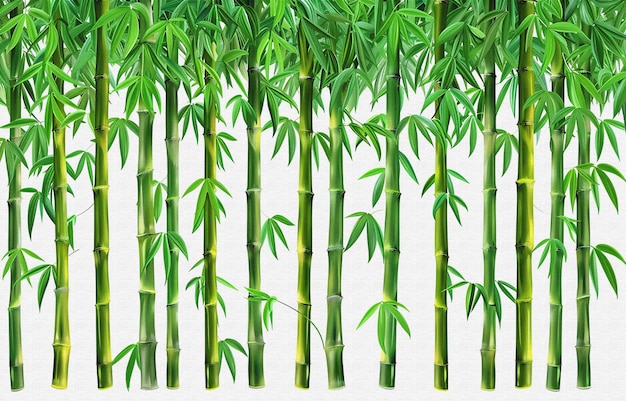 un dibujo de bambú con un fondo verde