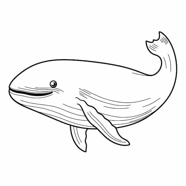 Foto un dibujo en blanco y negro de una ballena con una gran sonrisa generativa ai