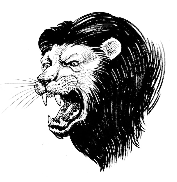 Un dibujo en blanco y negro de la cabeza de un león.