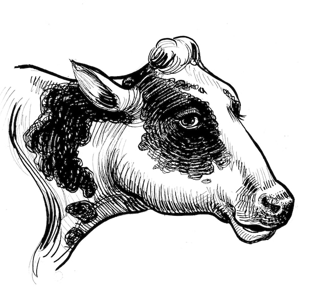 Un dibujo en blanco y negro de la cabeza de una vaca.