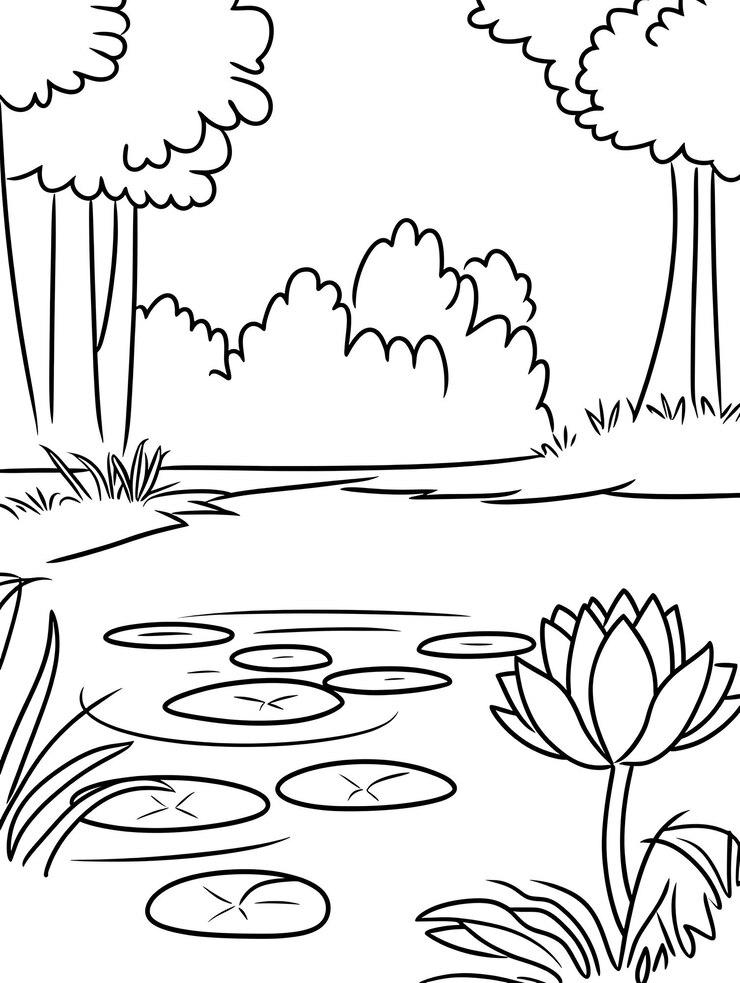un dibujo en blanco y negro de un estanque con lilos de agua