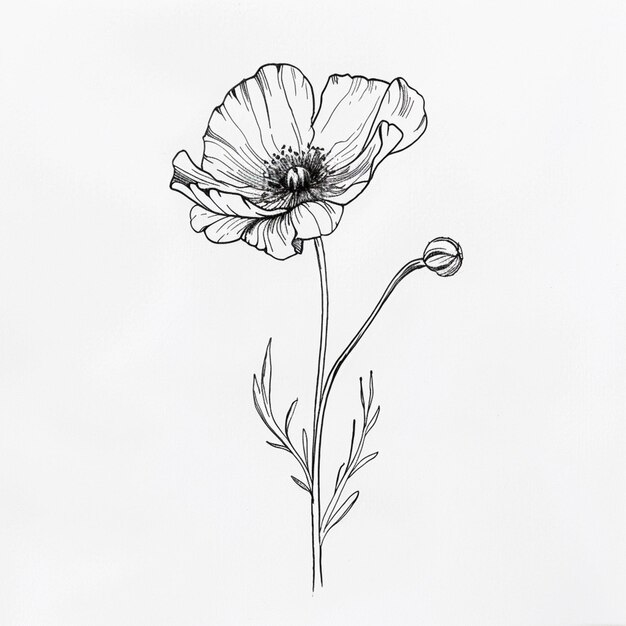 Foto un dibujo en blanco y negro de una flor generativa ai