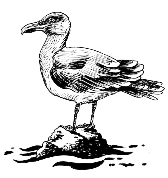 Un dibujo en blanco y negro de una gaviota de pie sobre una roca.