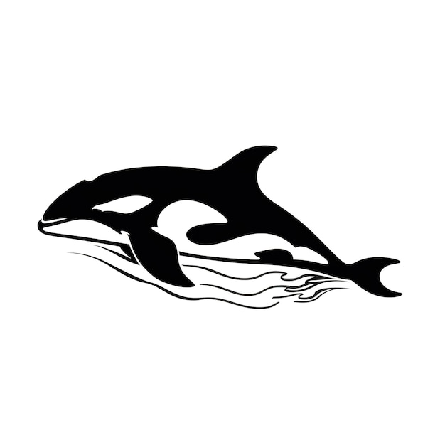 Un dibujo en blanco y negro de una orca.