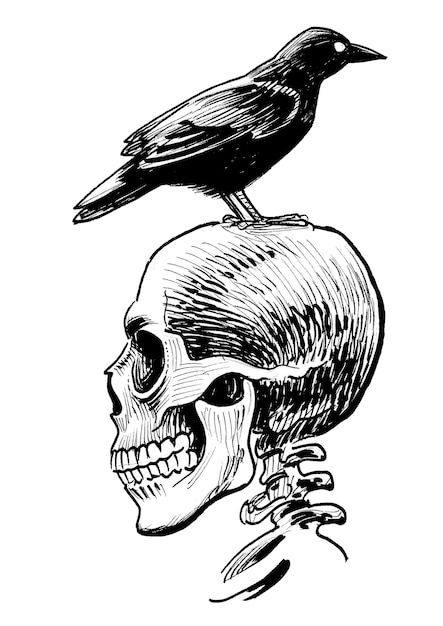 Un dibujo en blanco y negro de un pájaro cuervo en un cráneo